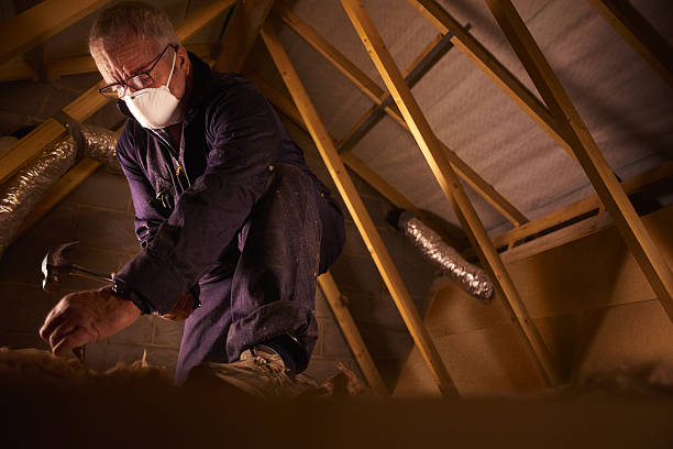 Insulation Contractors for Homes in Prairie City, IA